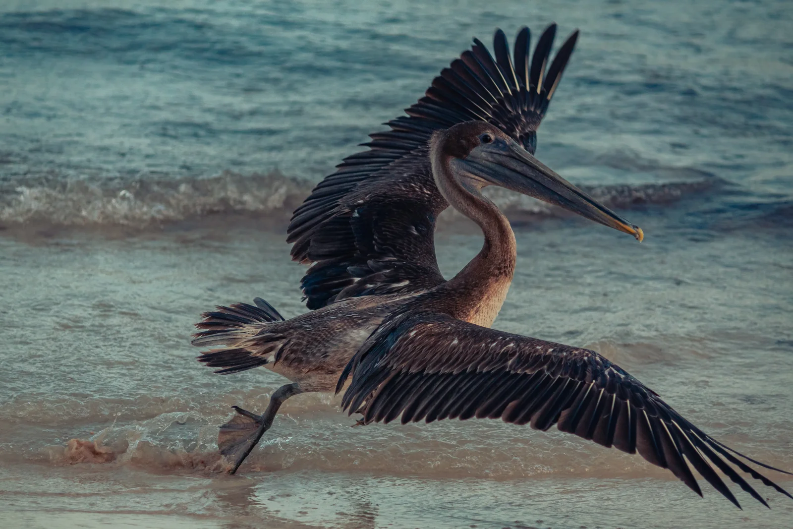 nature photography by JRMGraphy